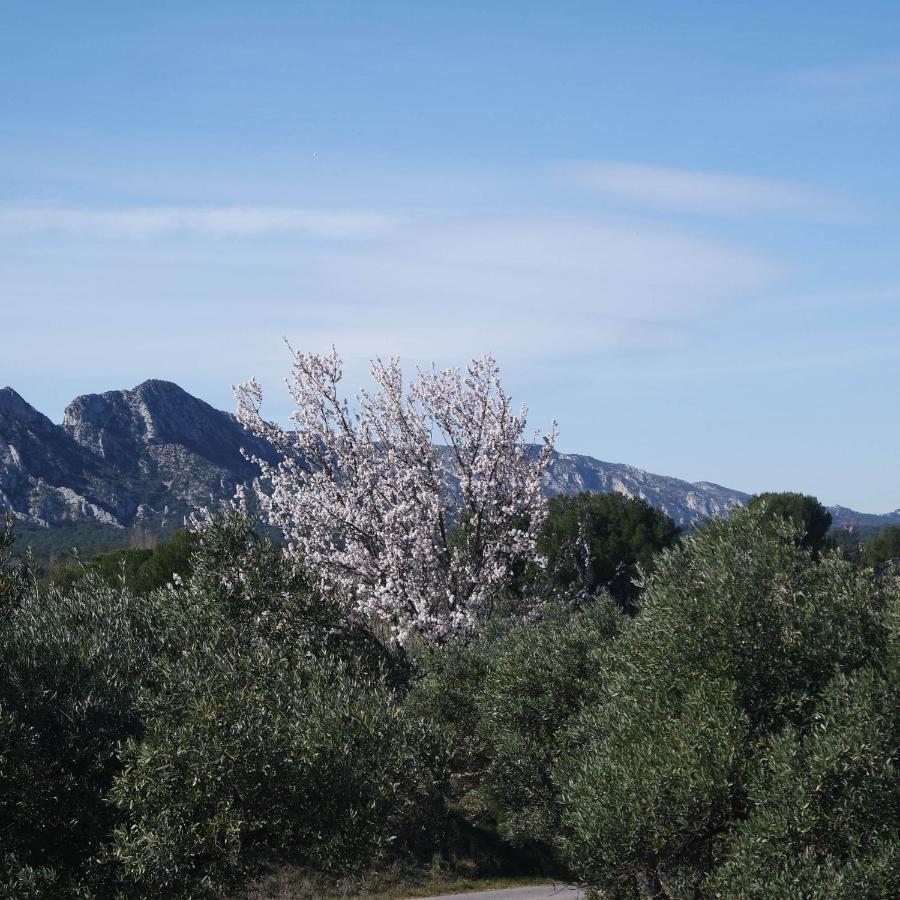 Eygalières Mas Grimaud - Gite- Studio Et Chambres D'Hotes Familiales מראה חיצוני תמונה